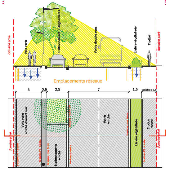 Profil des espaces publics - secteurs C1-C3